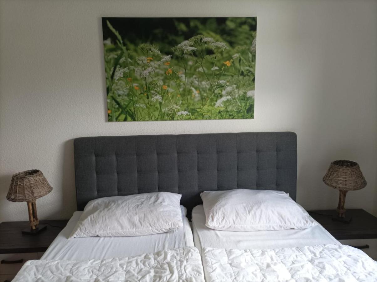 Apartamento Ferienresidenz Wurmbergblick Braunlage Exterior foto